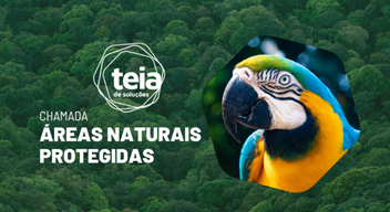 CHAMADA ÁREAS NATURAIS